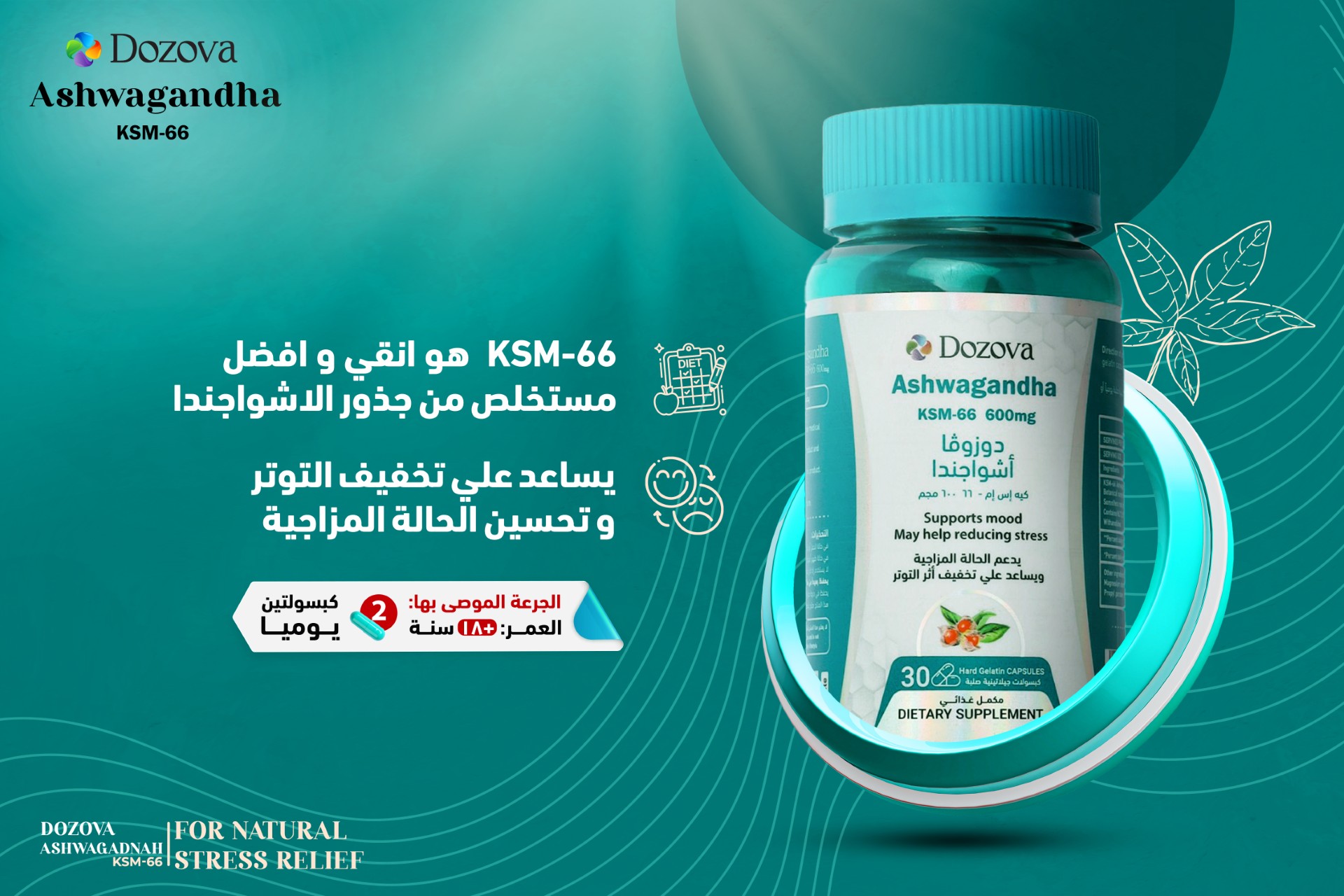 thumbnail_Website-V2-Ashwagandha-1.jpg